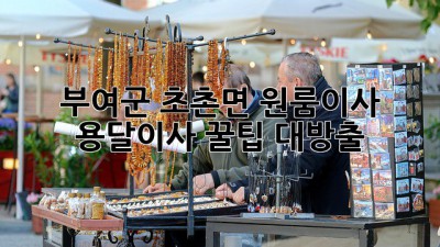 부여군 초촌면 원룸이사? 용달이사 꿀팁🍯 대방출!