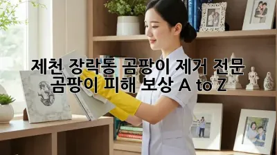 제천 장락동 곰팡이 제거 전문 🏡 곰팡이 피해 보상 A to Z